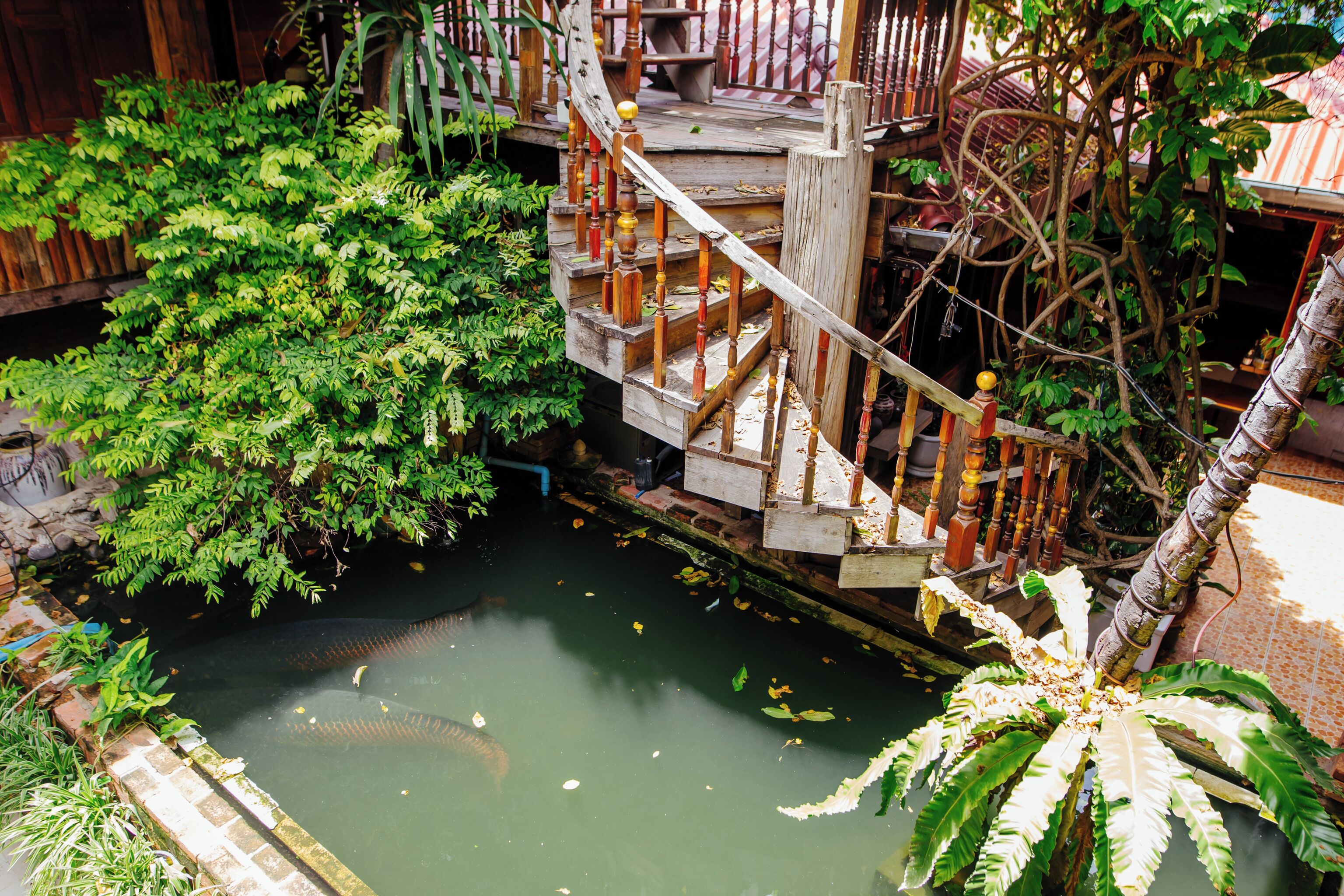 32-inch LCD TV with satellite channels, TV