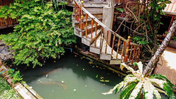A wooden staircase leading to a wooden deck surrounded by lush greenery. - Klong Suan Plu Resort (Ayutthaya)
