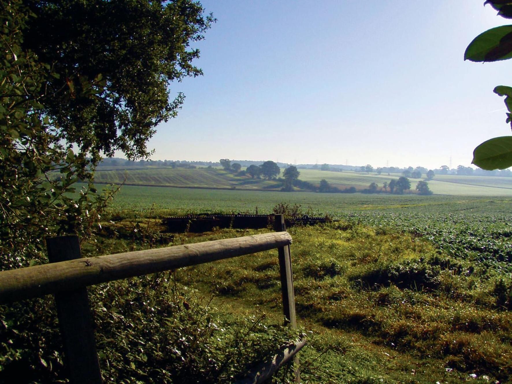 A rural landscape with a wooden fence, fields, and distant trees.