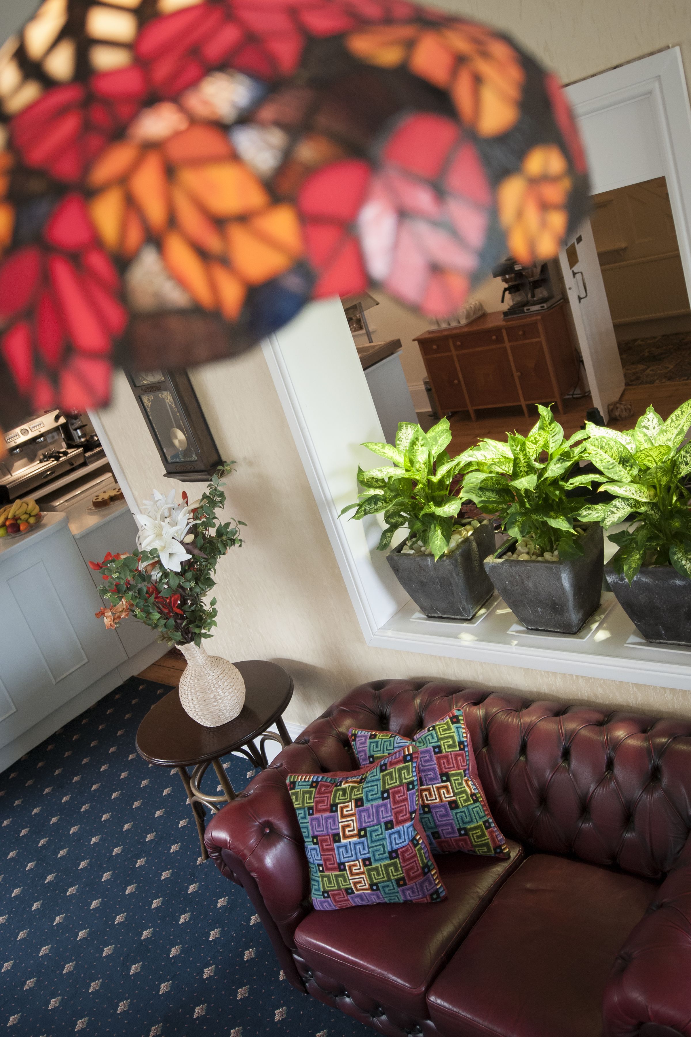 A living room with a red leather sofa, a small round table with a woven basket, and three potted plants on a windowsill.