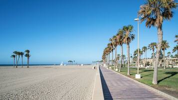 Playa en los alrededores