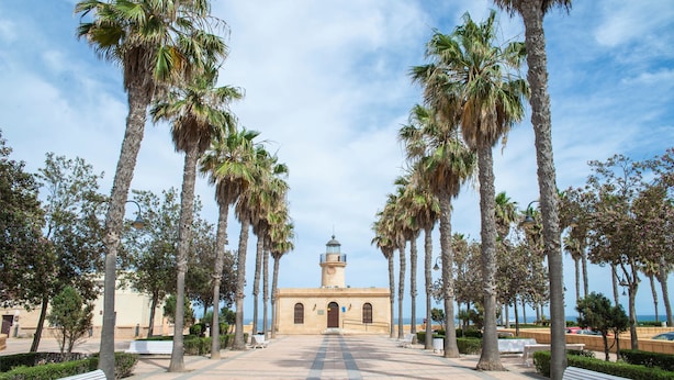 A paved walkway lined with palm trees leading to a building with a tower. - Hotel Roquetas El Palmeral by Pierre & Vacances (Roquetas de Mar)