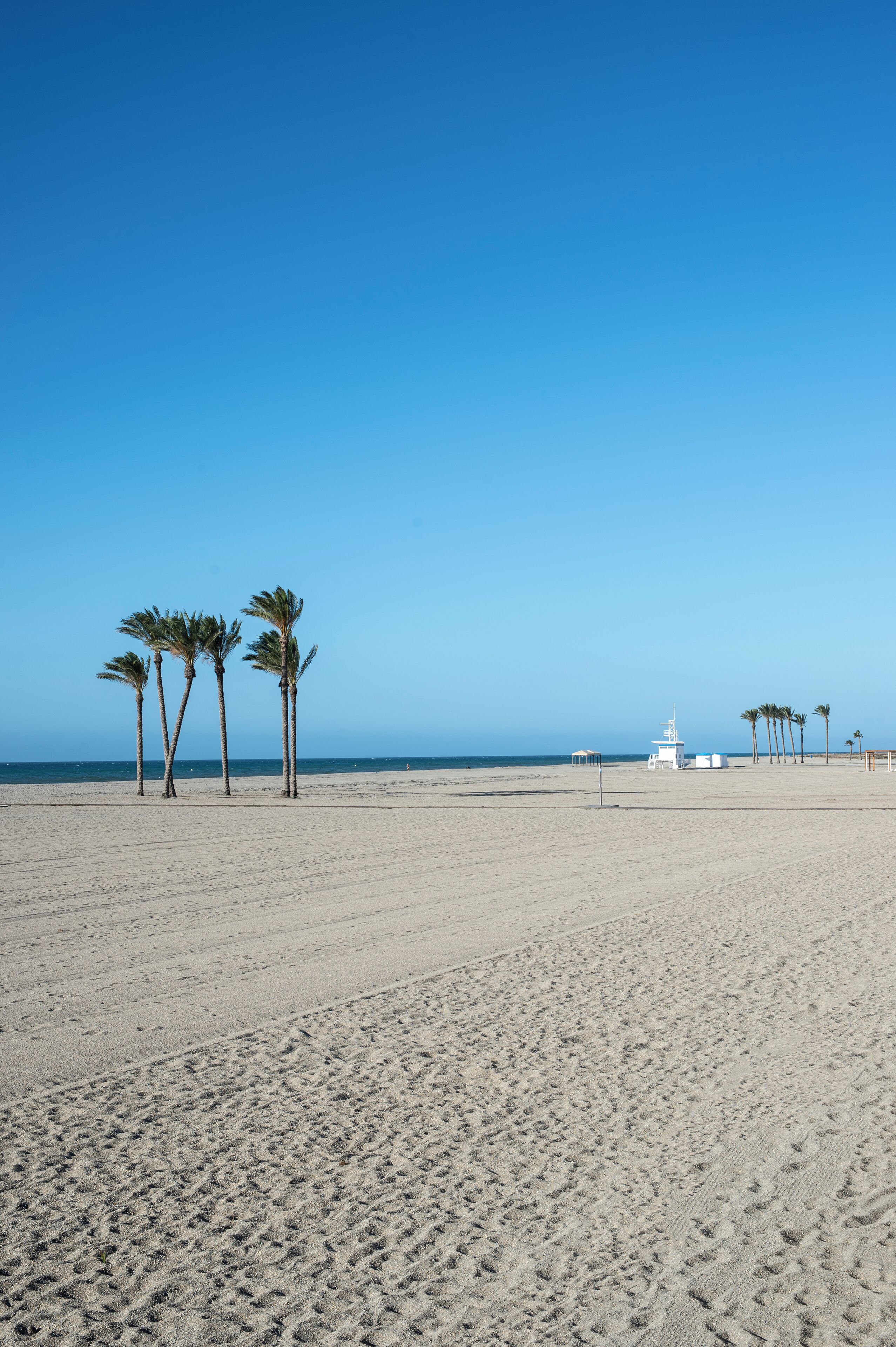 Ein Strand mit Palmen und einem Rettungsturm.