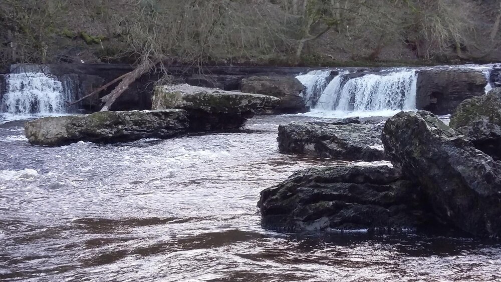 Willance House Guest House by null