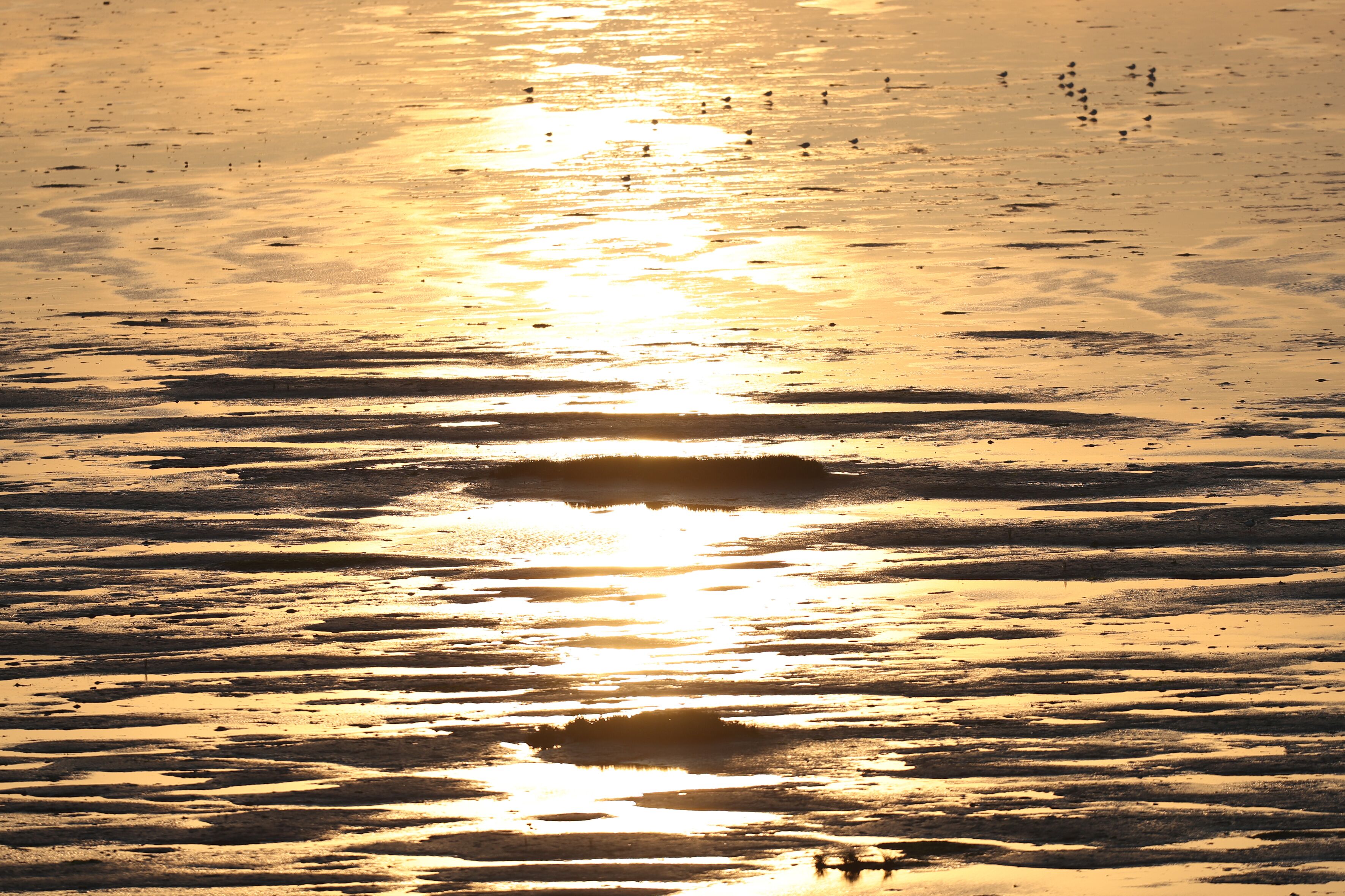 superior room, 1 double bed | beach/ocean view