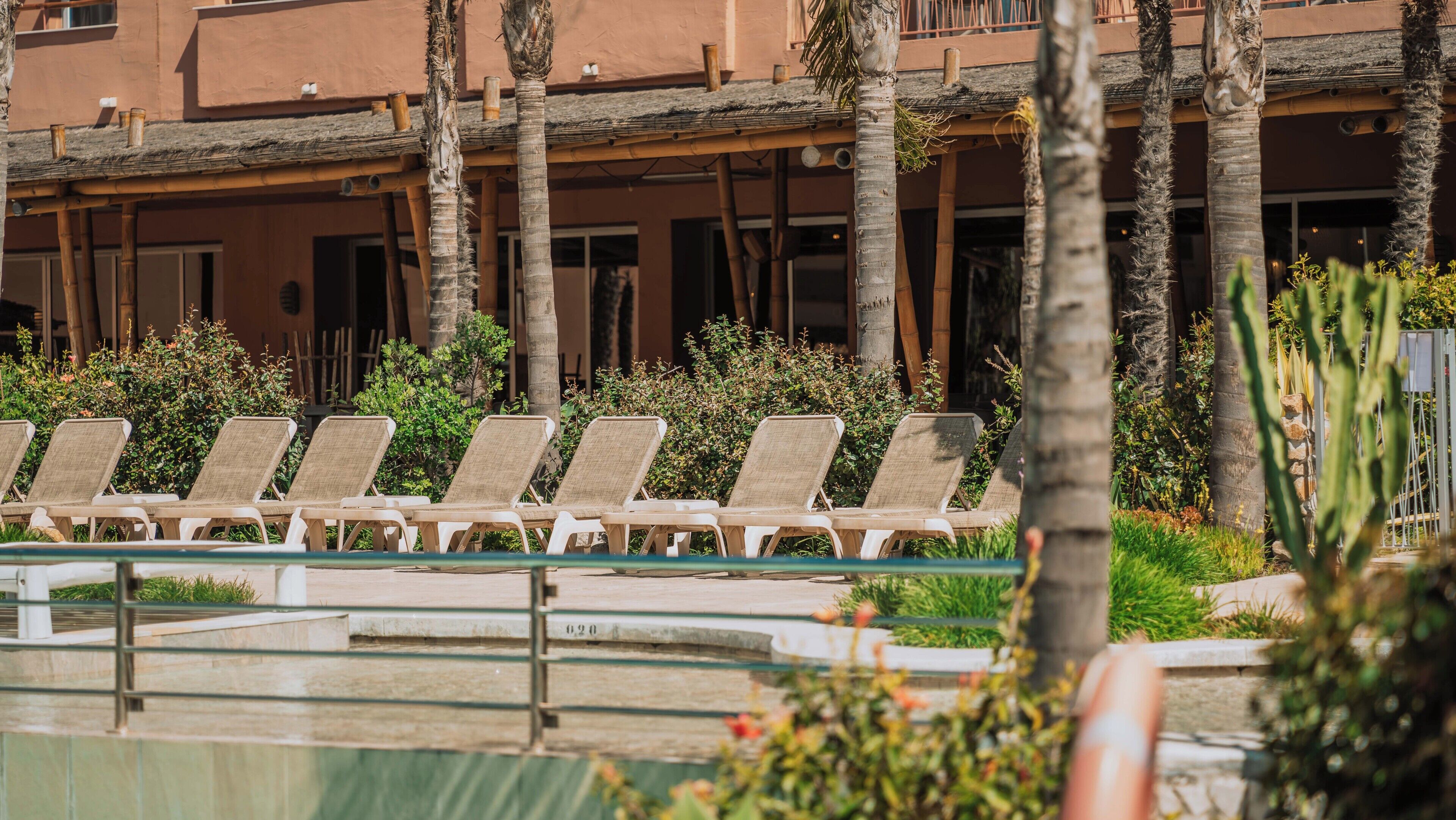 Zona de piscina con sillas reclinables, palmeras y un edificio con balcones al fondo.