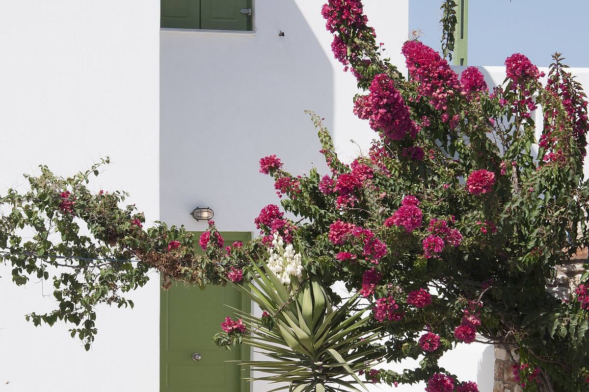 Un edificio blanco con una puerta y ventanas verdes, un muro de piedra y plantas en flor.