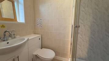 A bathroom with a sink, toilet, and shower.
