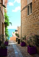 A narrow stone-paved alleyway with potted plants and a view of the sea.