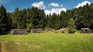 A row of cabins with a grassy field in the foreground and a dense forest in the background. - Tayview Lodges (Pitlochry)