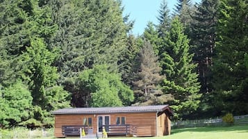 4 bedrooms, iron/ironing board, WiFi, wheelchair access