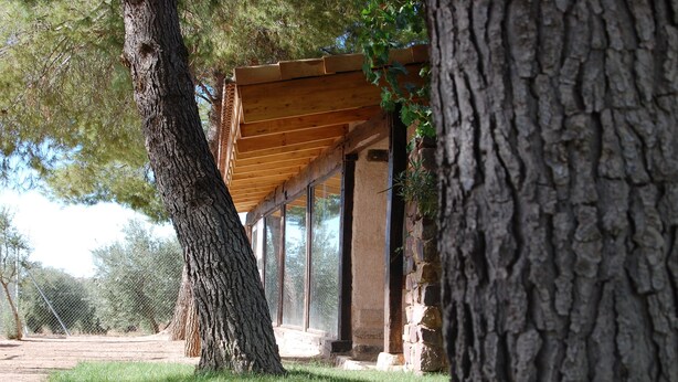 A rustic building with a wooden pergola, stone walls, and a large tree in the foreground. - Apartamentos Rurales Las Caleras (Almagro)