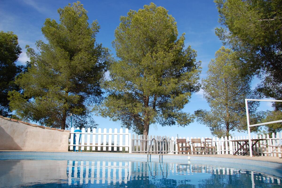 A swimming pool with a white picket fence and trees in the background.