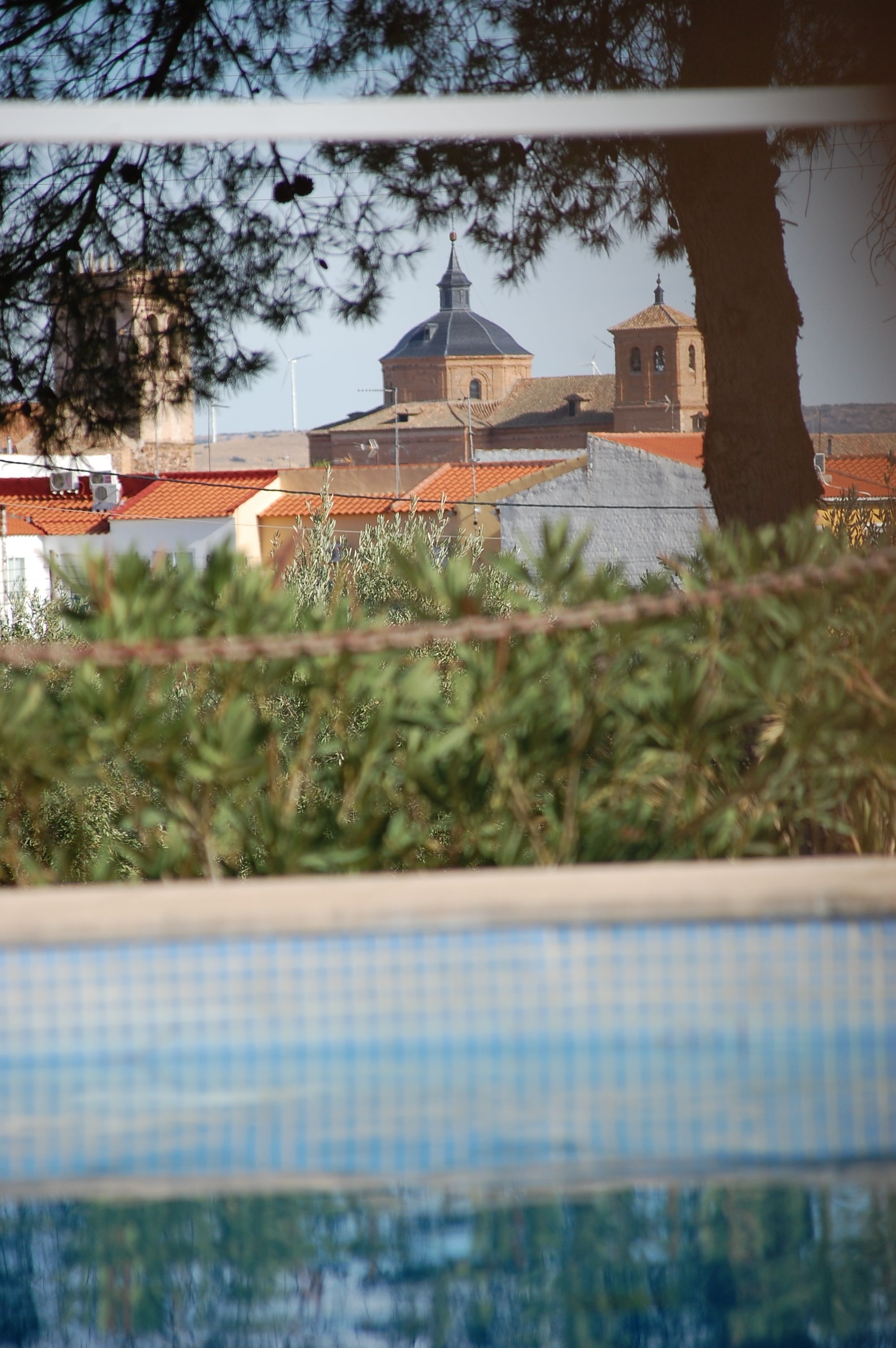 Vista de un edificio con cúpula y campanario, rodeado de árboles y una piscina.