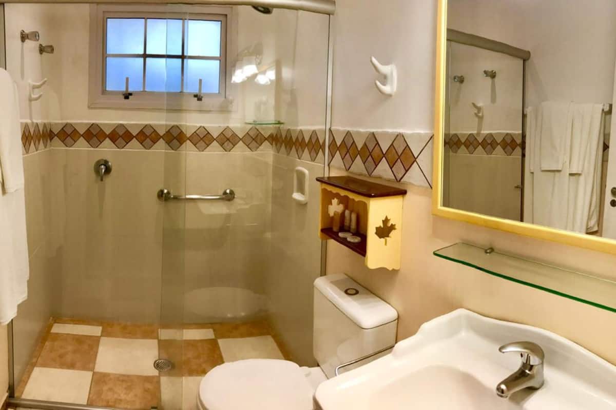 shower, free toiletries, hair dryer, bidet