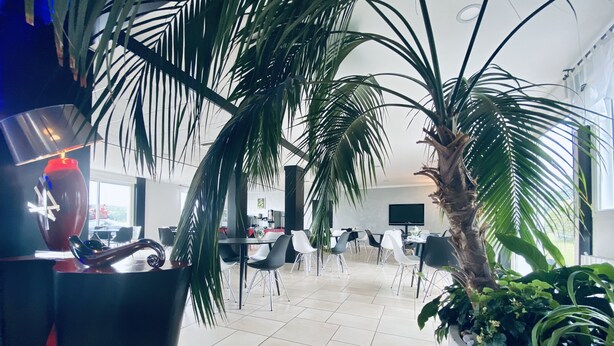 Un espace intérieur moderne, agrémenté d’un grand palmier en pot, de chaises noires et blanches, et d’un vase rouge au motif géométrique.