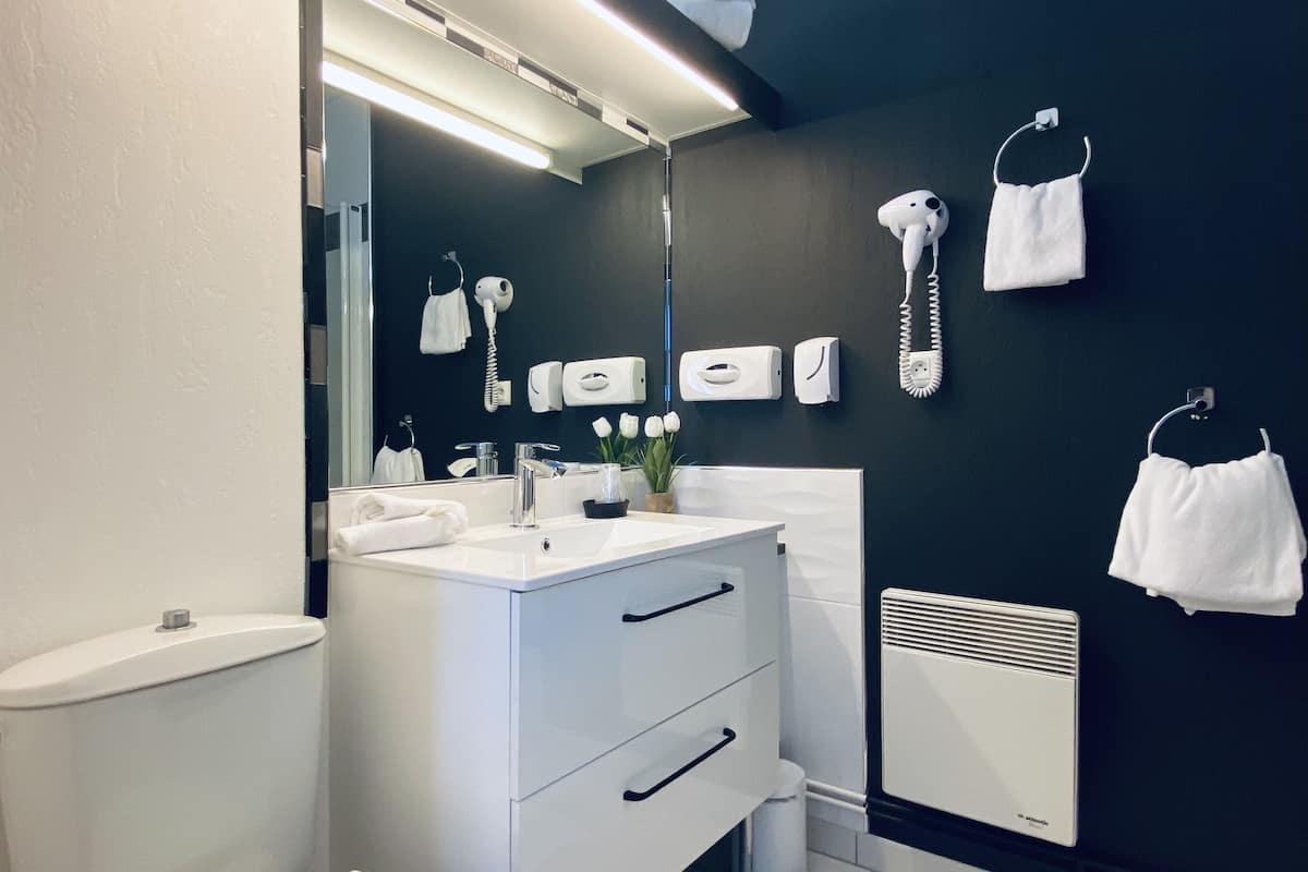 double room, park view | bathroom | free toiletries, hair dryer, towels