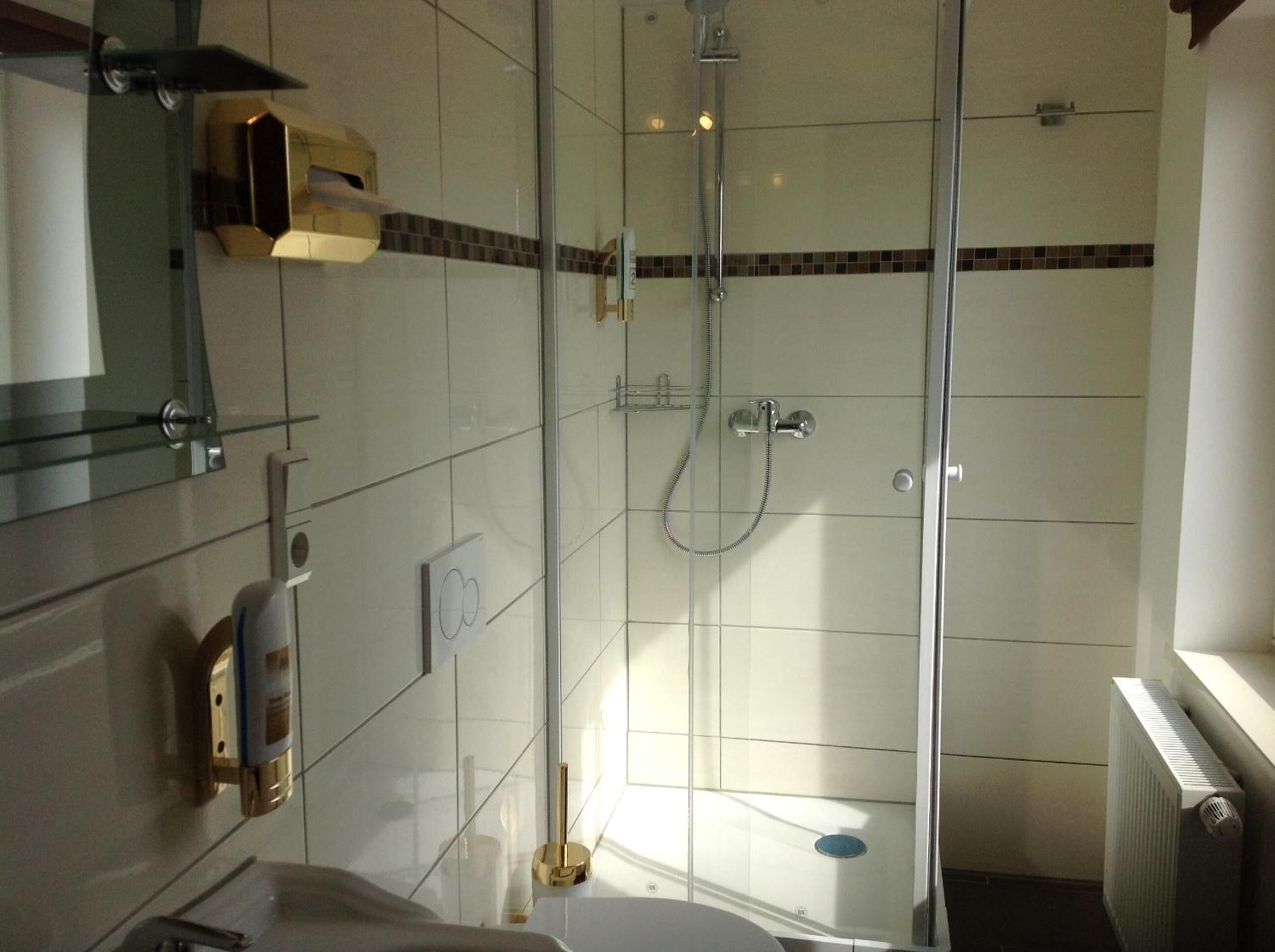 shower, free toiletries, hair dryer, towels