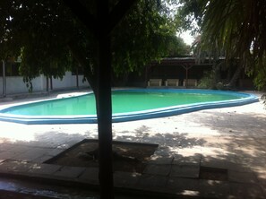 A swimming pool with a blue edge, surrounded by a paved area with a tree in the foreground. - Alfa Accommodation (Maun)