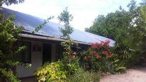 Een huis met een golfplaten dak, omringd door weelderige begroeiing en bloeiende planten.