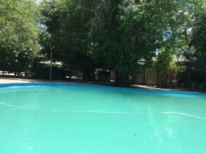 A swimming pool surrounded by trees. - Alfa Accommodation (Maun)