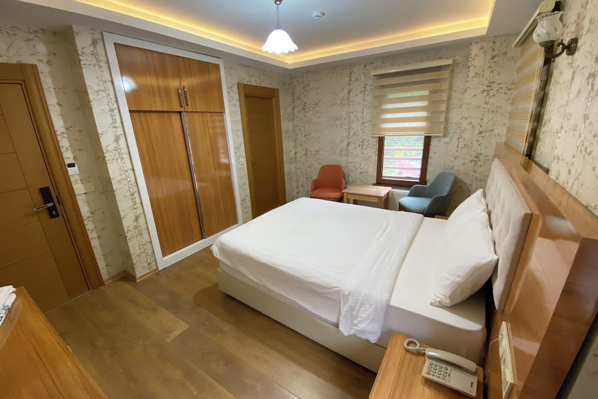 standard double room, 1 double bed | minibar, desk, soundproofing, free wifi