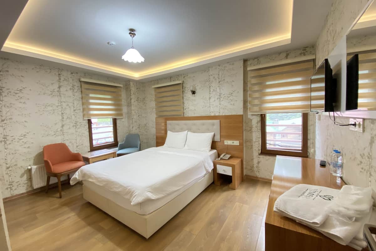 standard double room, 1 double bed | minibar, desk, soundproofing, free wifi