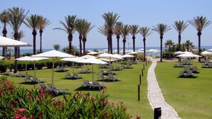 A resort with rows of sun loungers and umbrellas, palm trees, and a clear view of the sea. - CALIMERA Delfino Beach Resort & Spa - All inclusive (Hammamet)