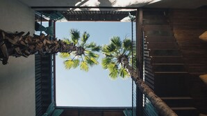 A modern interior with a staircase, a view of the sky, and a palm tree outside. - Hotel Los Amantes (Oaxaca)
