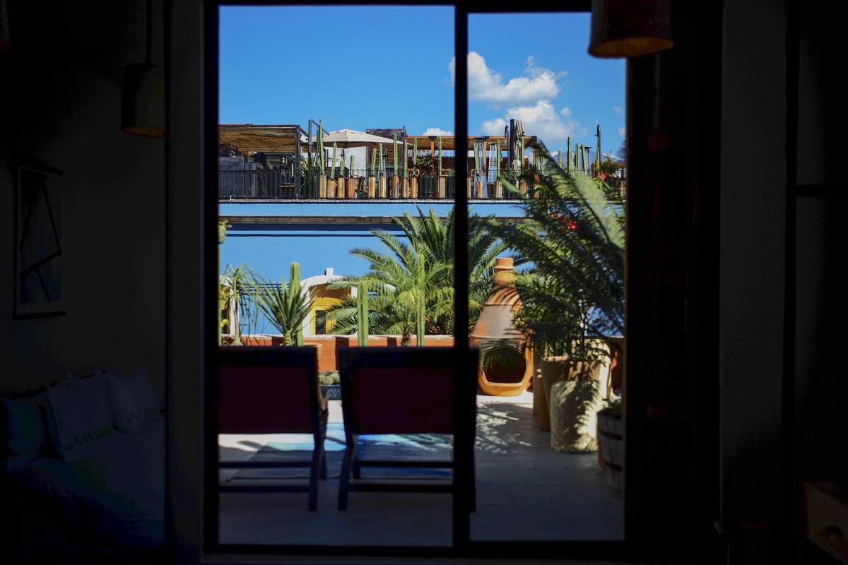 A view from a room with a large window overlooking a pool area with chairs and palm trees.