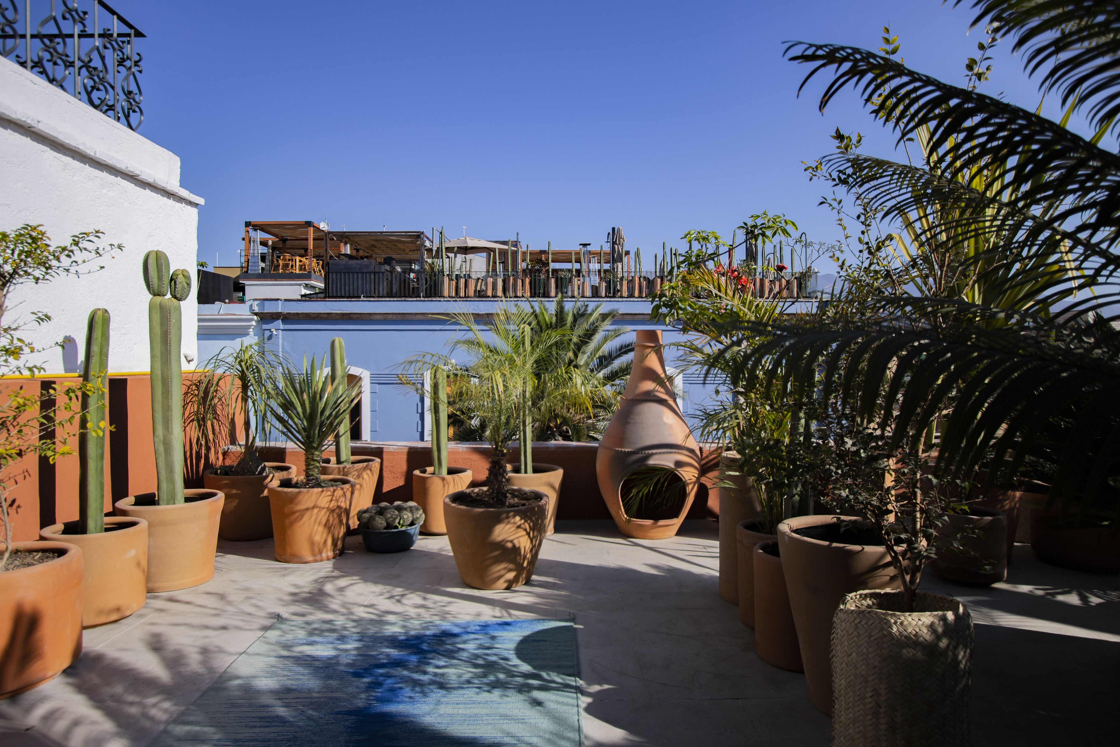 高级房 | 埃及棉床单、高档床上用品、羽绒被、Select Comfort 床