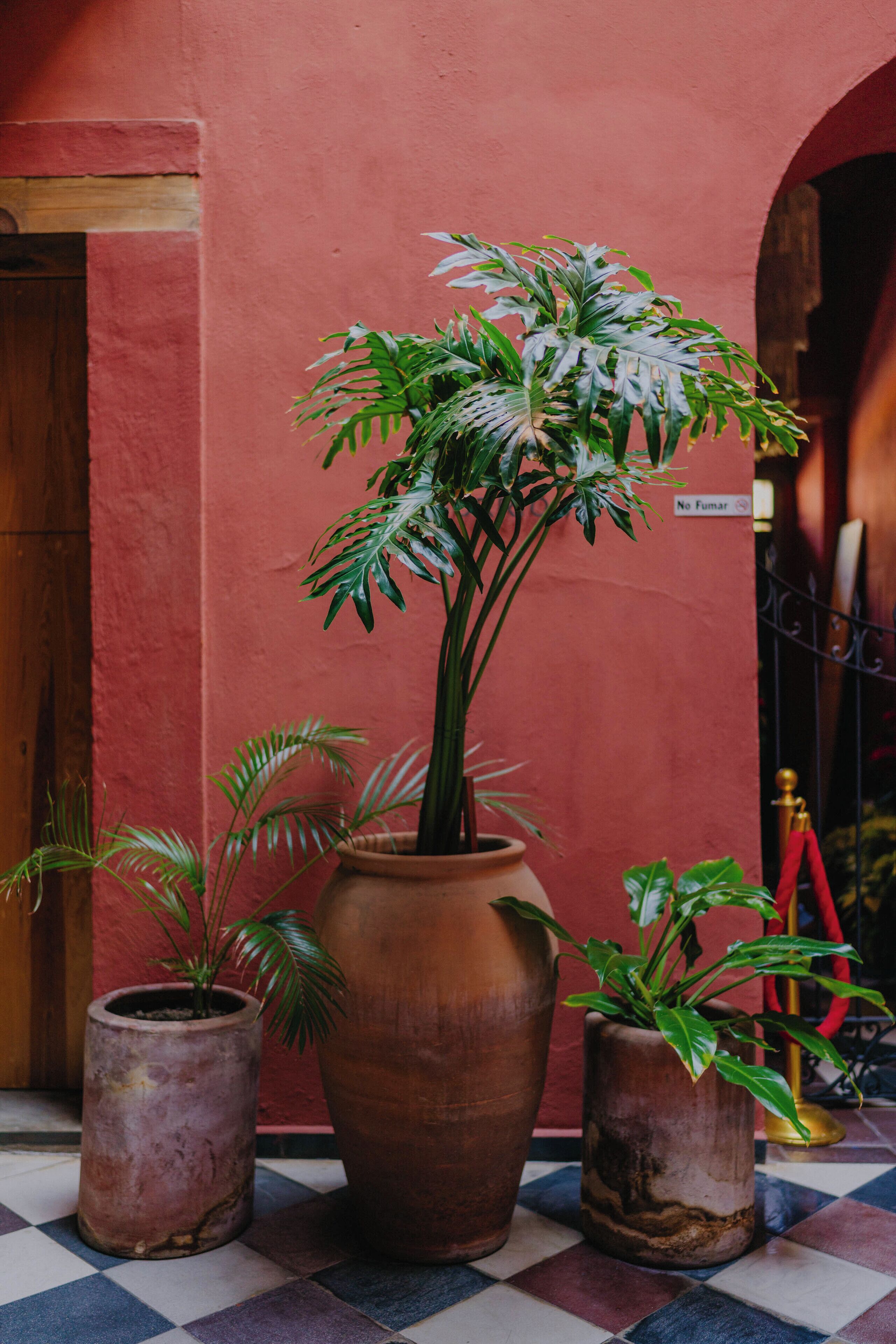 Foto - Hotel Los Amantes