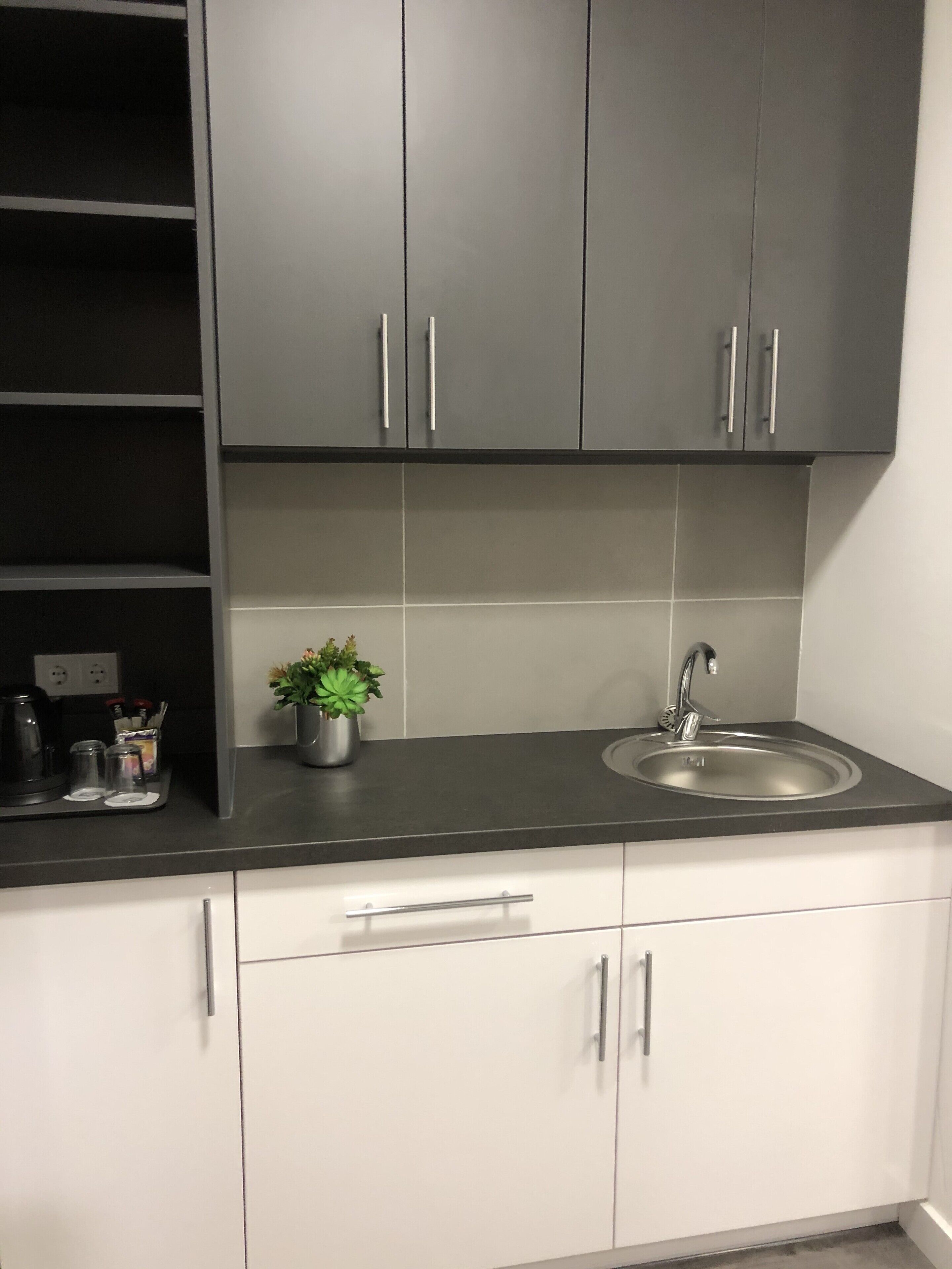 A kitchen with grey cabinets, a black countertop, a stainless steel sink, and a potted plant.