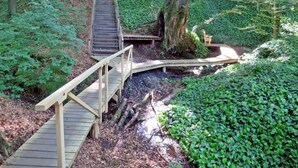 Un puente de madera que conecta dos zonas en un área boscosa, con abundante vegetación y un gran tronco de árbol.