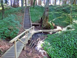 Látnivaló