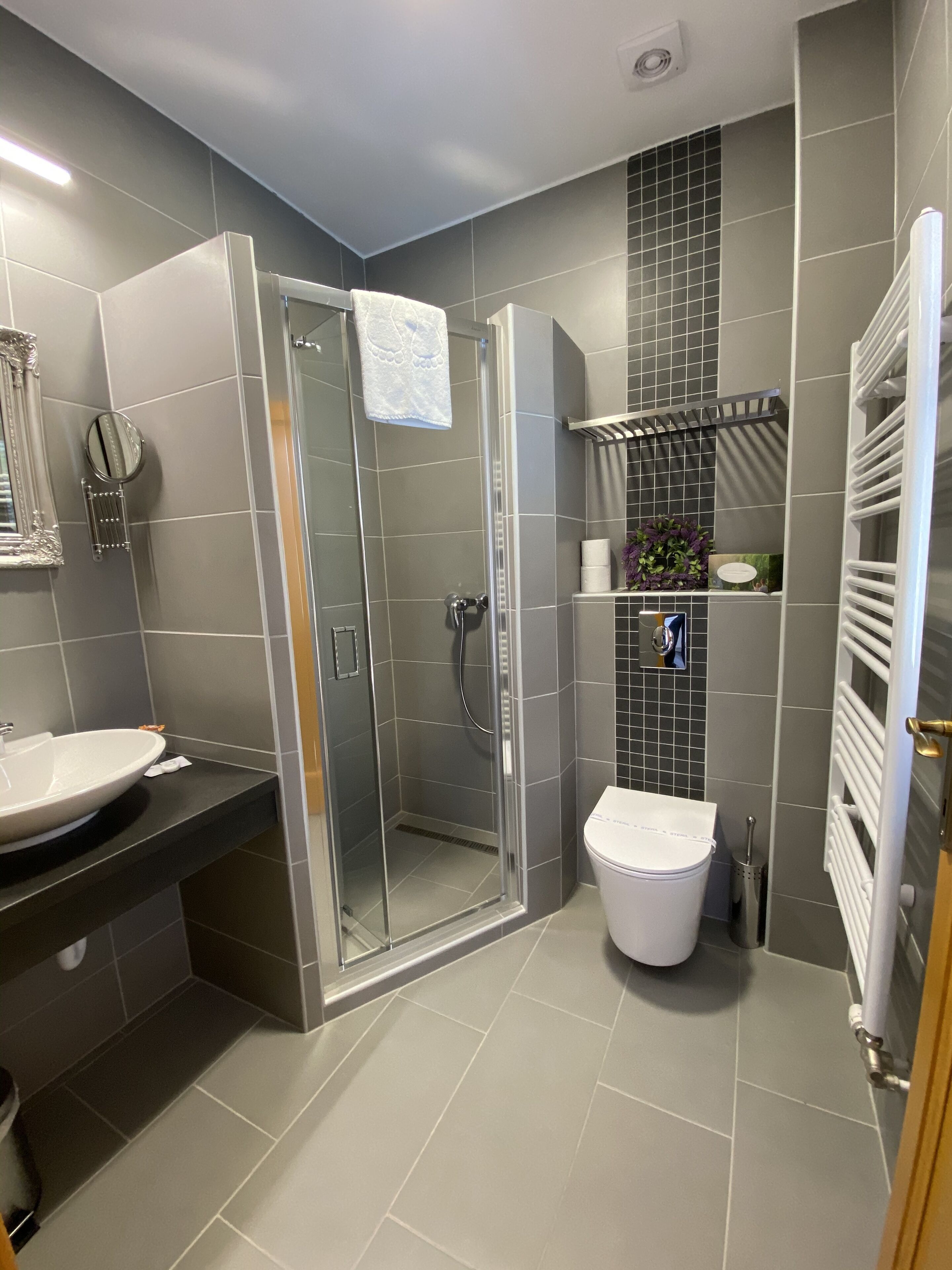 A modern bathroom with a glass-enclosed shower, a white sink, and a toilet.
