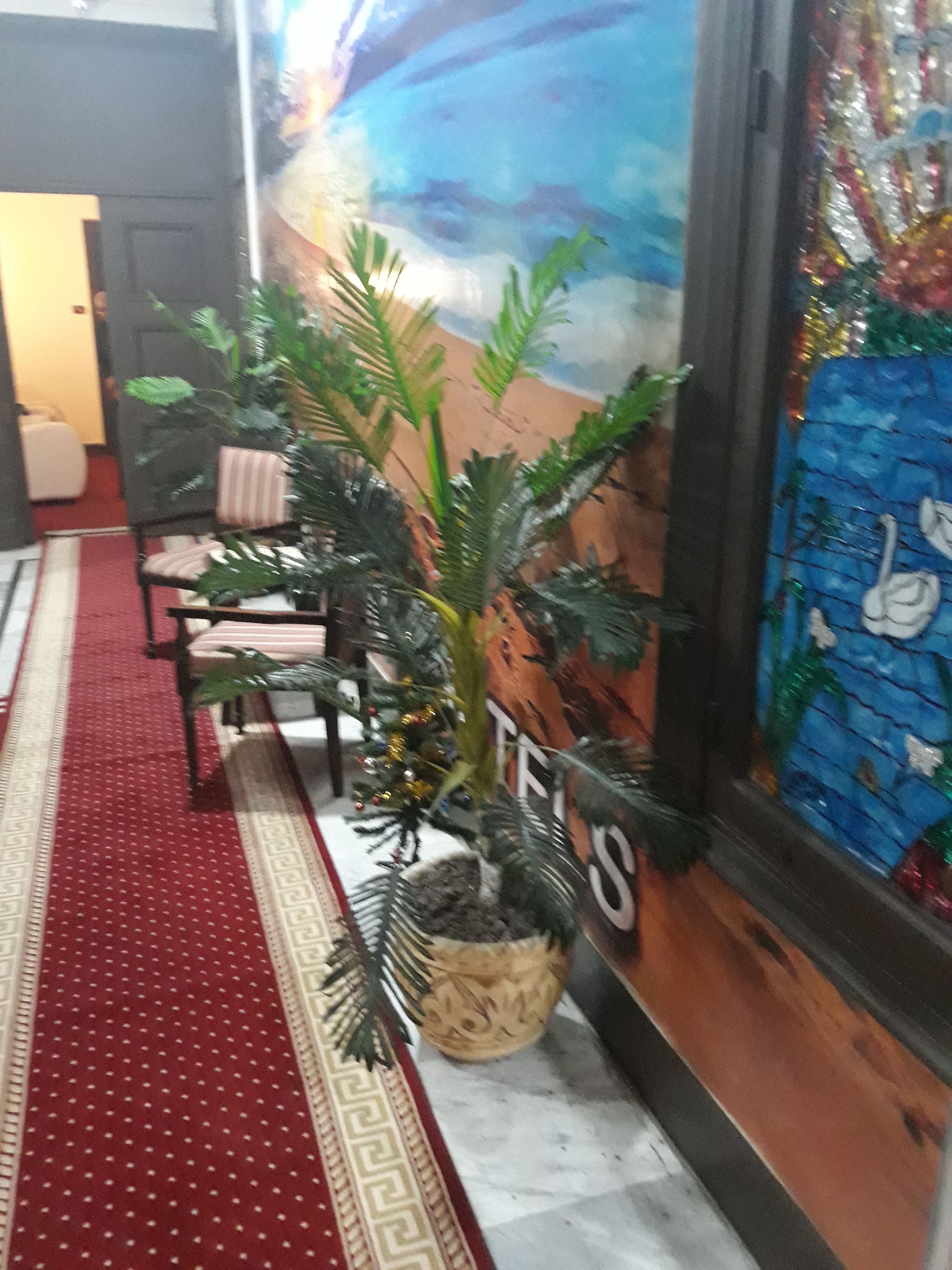 Photo - Paradise Boutique Hotel