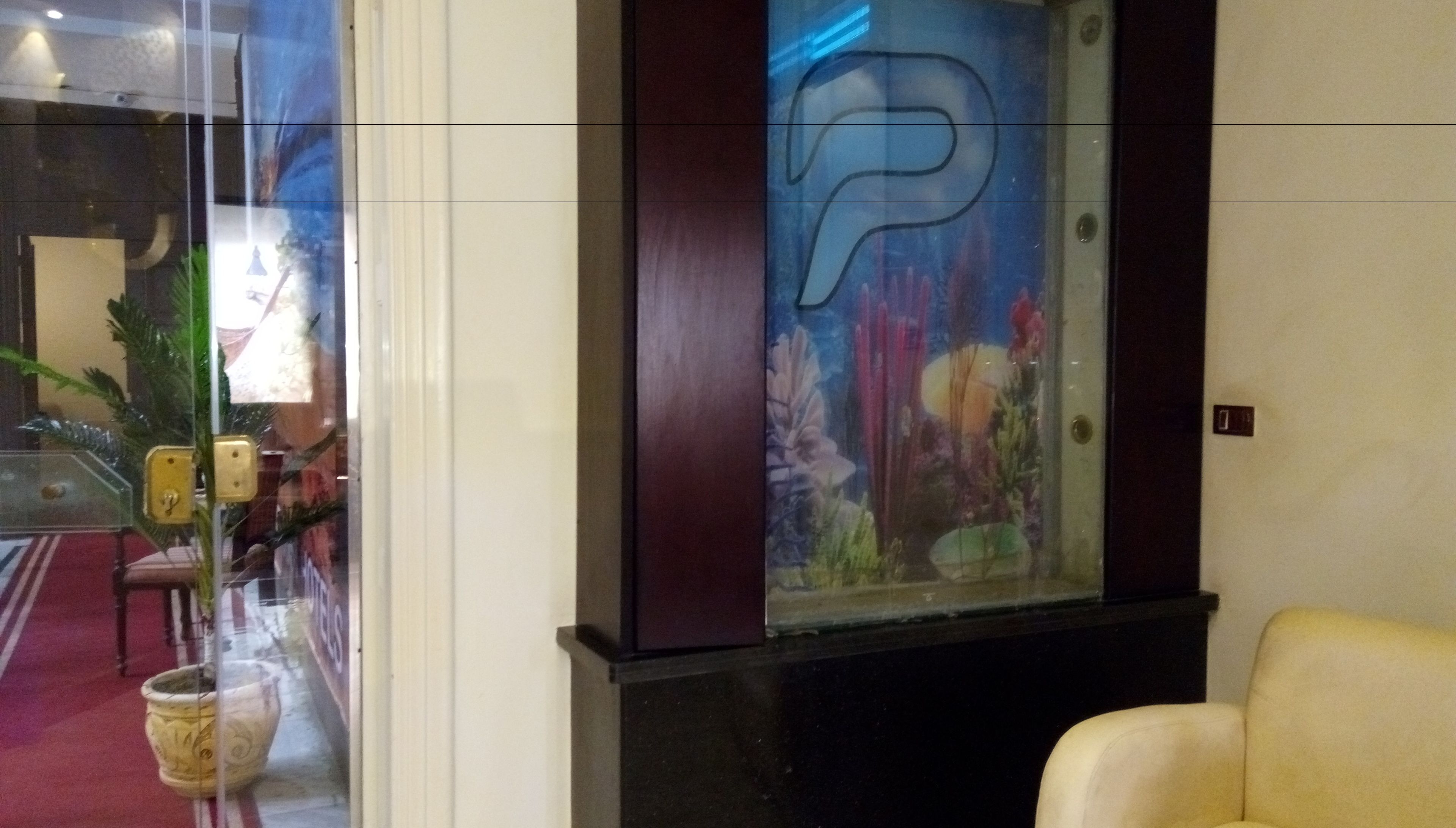 Photo - Paradise Boutique Hotel