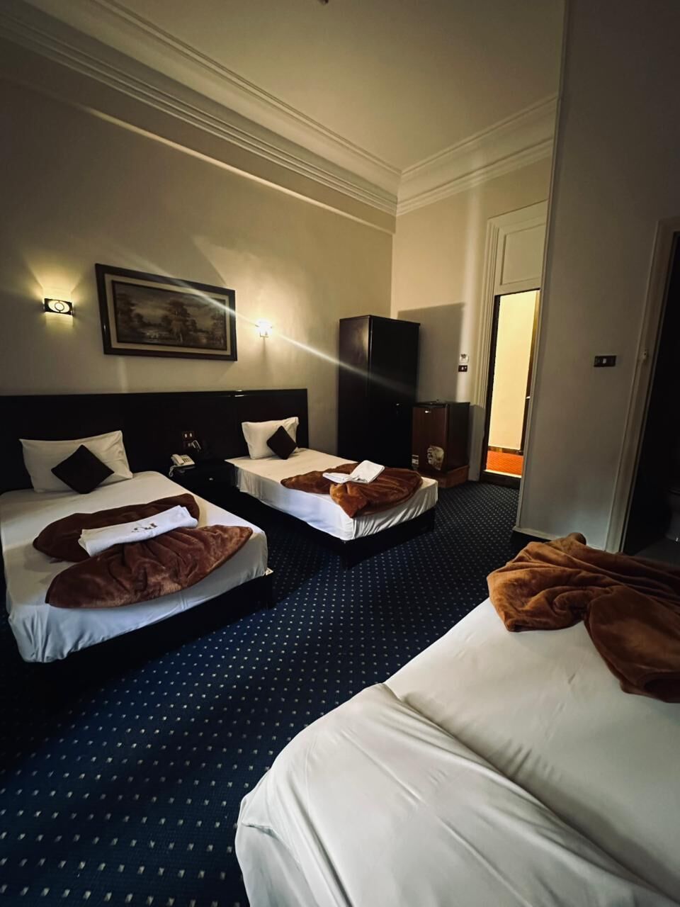 Sábanas de algodón egipcio, ropa de cama de alta calidad y minibar 