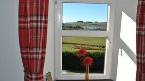 Janela com vista para um campo verde e um corpo d'água, cortina xadrez vermelha e um vaso com flores vermelhas em um peitoril.