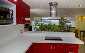 Microondas y placa de cocina