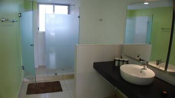 A modern bathroom with a glass shower enclosure, a white sink, and a large mirror.