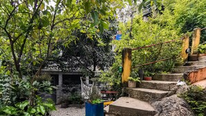 A stone staircase surrounded by lush greenery, leading to a building with a visible window. - Pousada Estrelas da Babilonia (Rio de Janeiro)