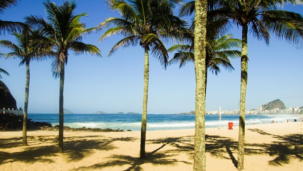 A beach with palm trees, a clear sky, and a distant cityscape. - Pousada Estrelas da Babilonia (Rio de Janeiro)