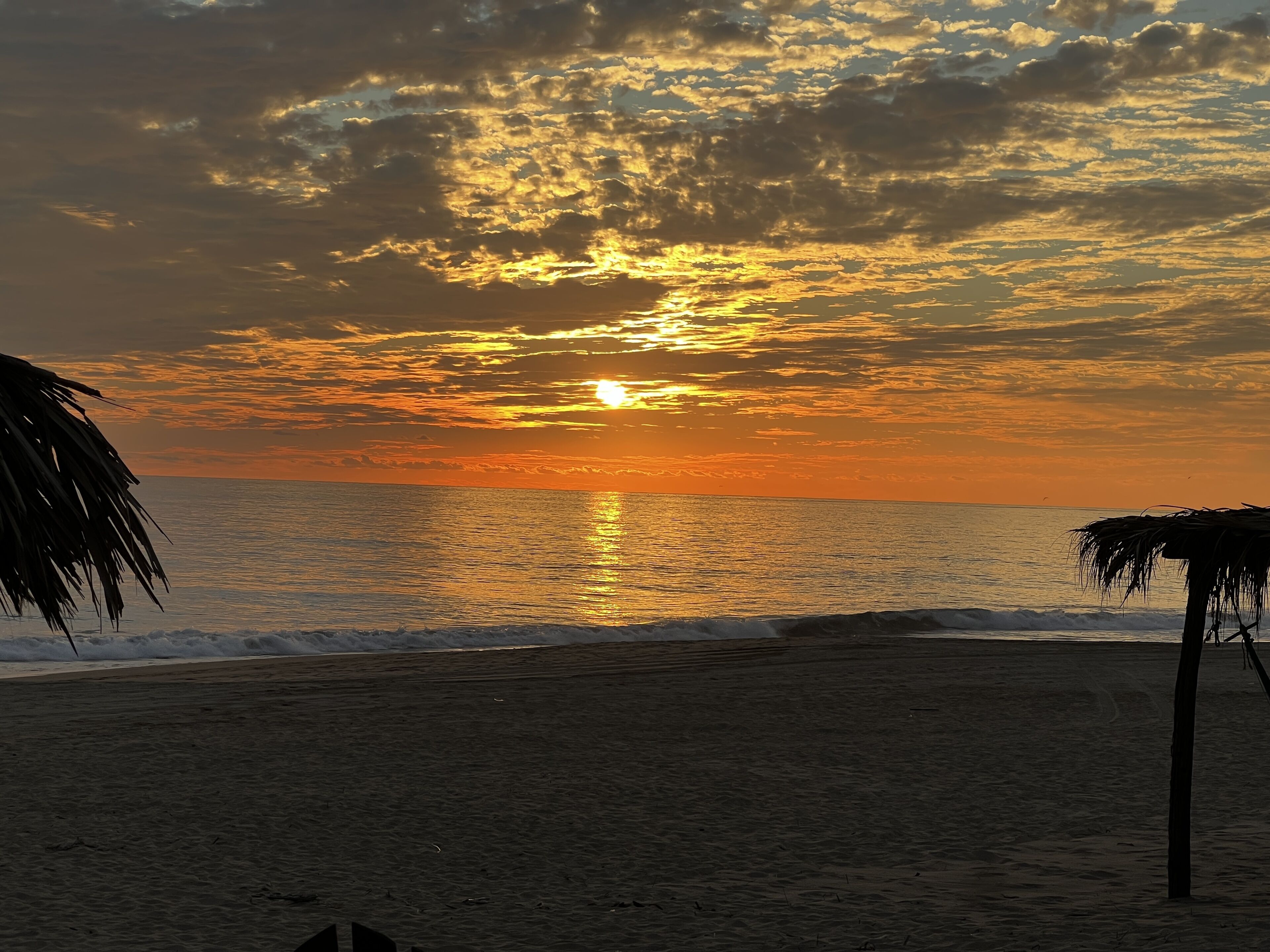 A beach with a sunset, palm trees, and calm ocean waves.