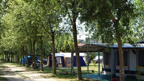 A campsite with multiple tents and caravans, surrounded by trees.