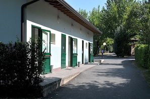 A building with multiple green doors and windows, a paved pathway, and surrounding greenery.