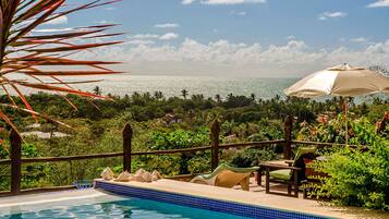 Outdoor pool, pool umbrellas, pool loungers