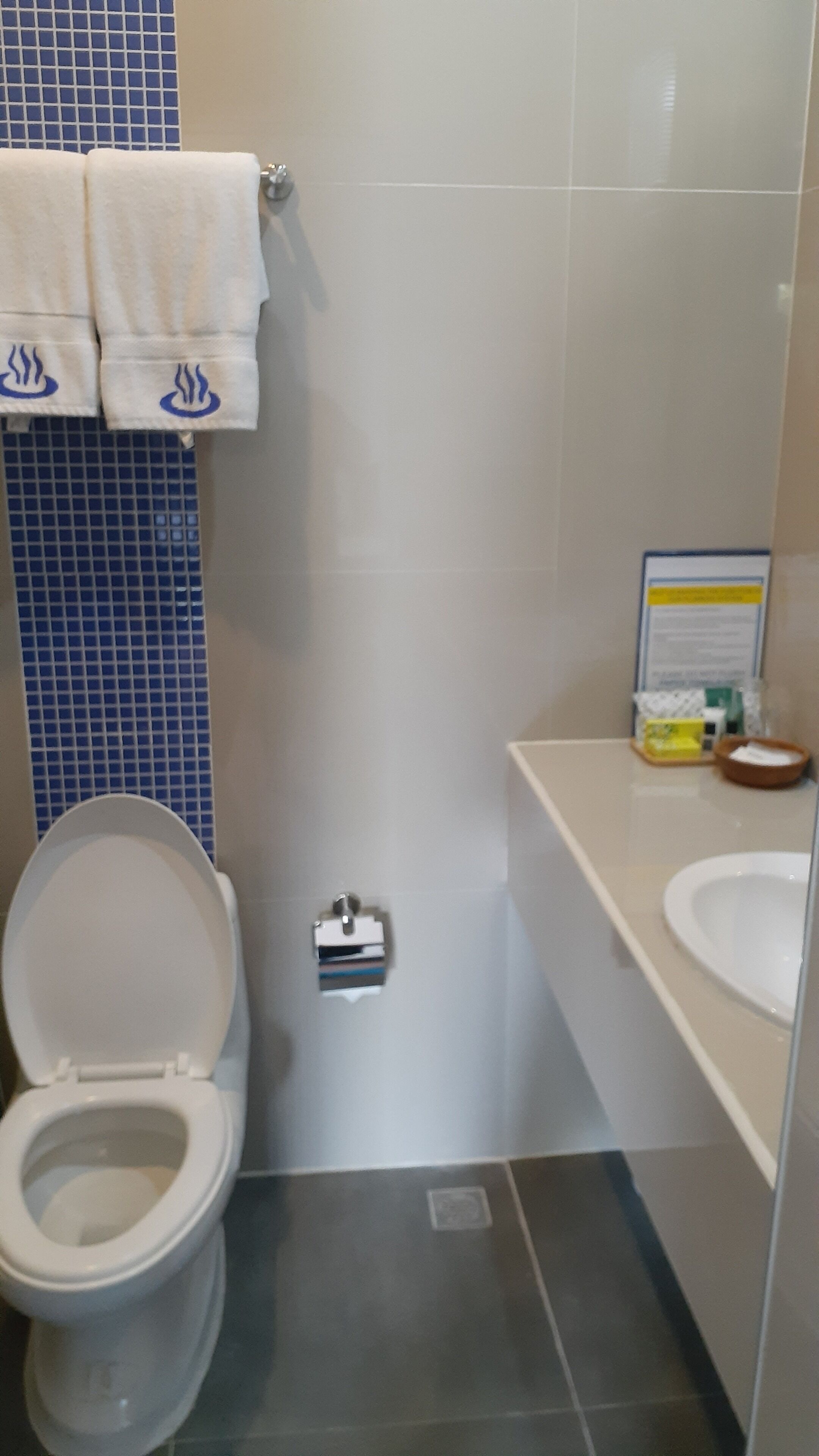 standard room, 1 double bed | bathroom | shower, rainfall showerhead, free toiletries, hair dryer