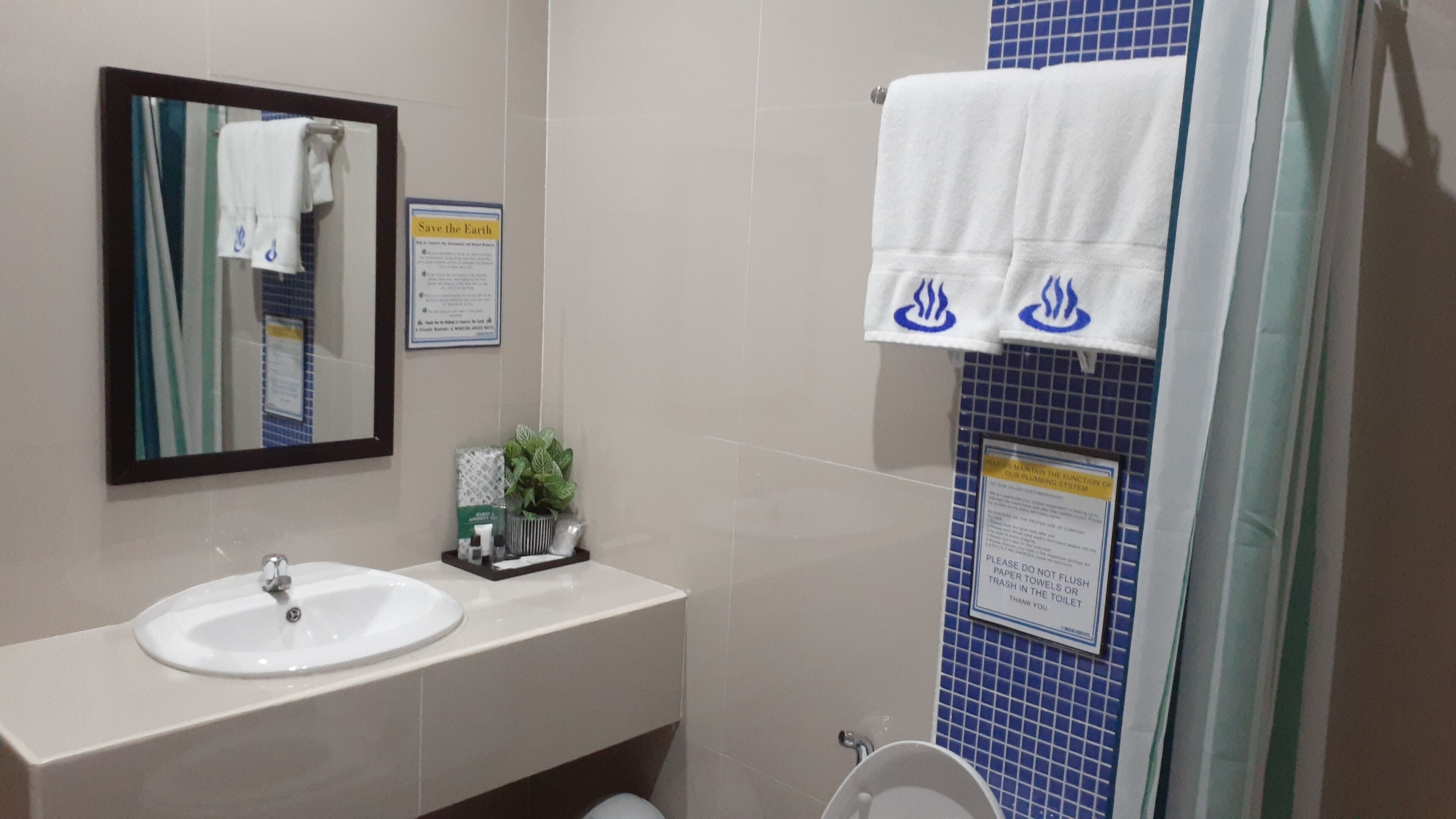 standard room, 1 double bed | bathroom | shower, rainfall showerhead, free toiletries, hair dryer